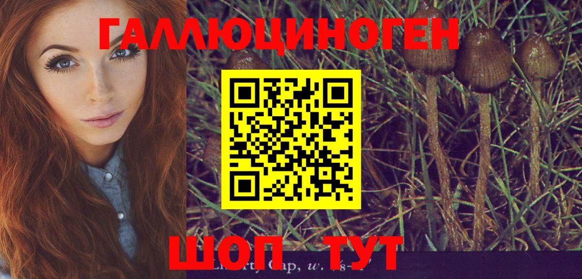 Псилоцибиновые грибы мицелий  Артём  Галлюциногенные грибы мухоморы 