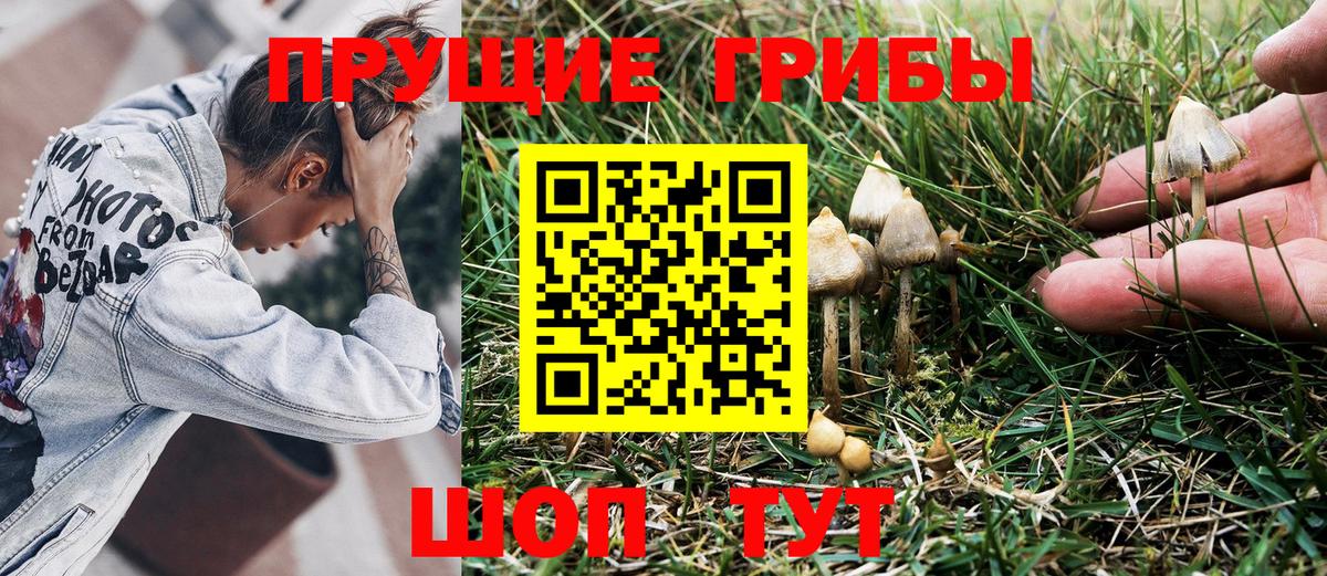 Галлюциногенные грибы Magic Shrooms Артём