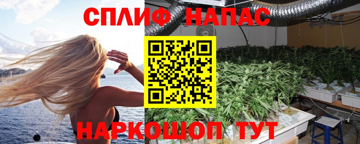 Канабис планчик  Артём  Конопля ГИДРОПОН  Конопля White Widow 